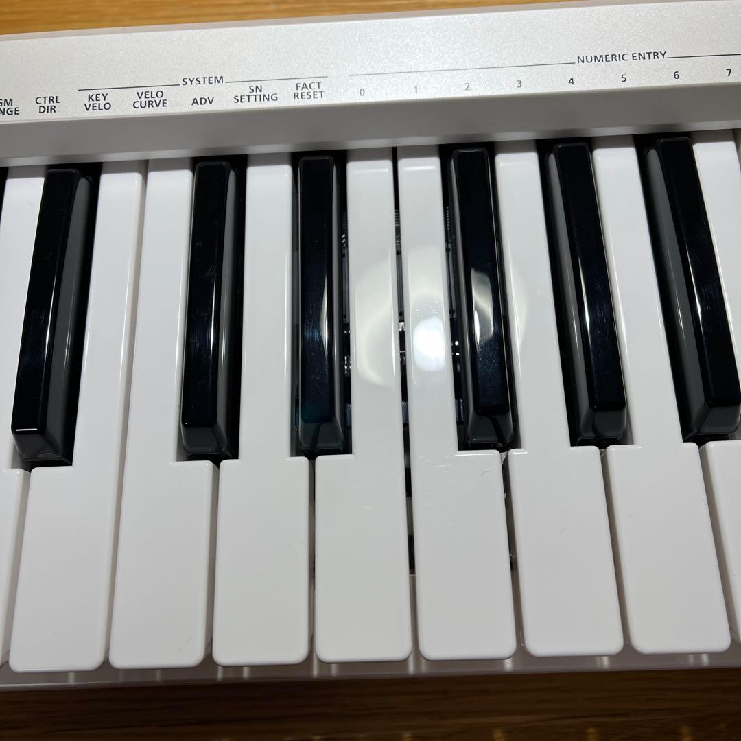 Roland A-49 White ホワイト