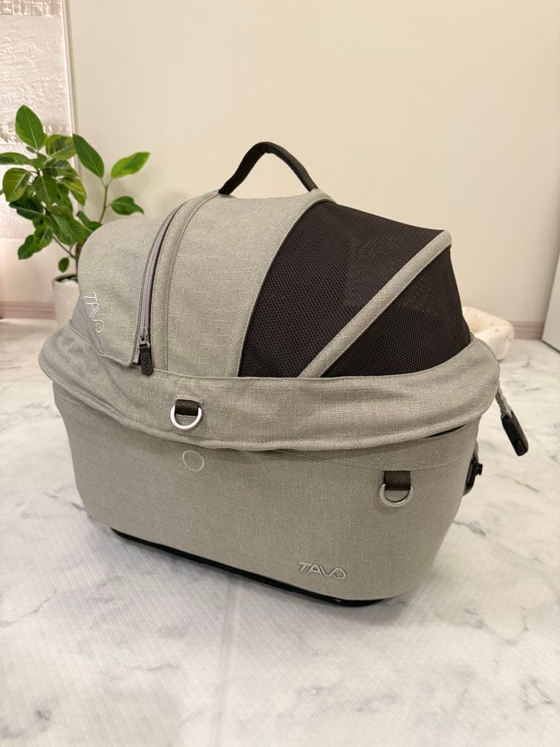 TAVO Maeve メイブ　5X FAWN コットのみ単品です。