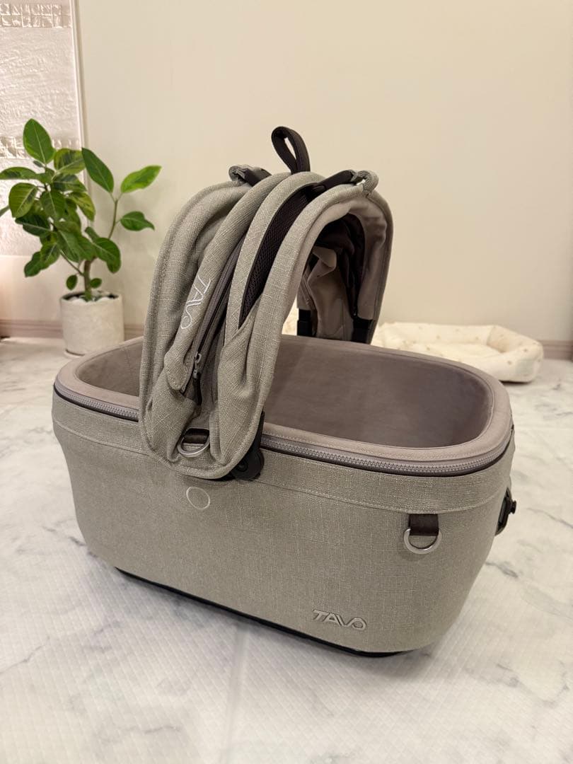 TAVO Maeve メイブ　5X FAWN コットのみ単品です。