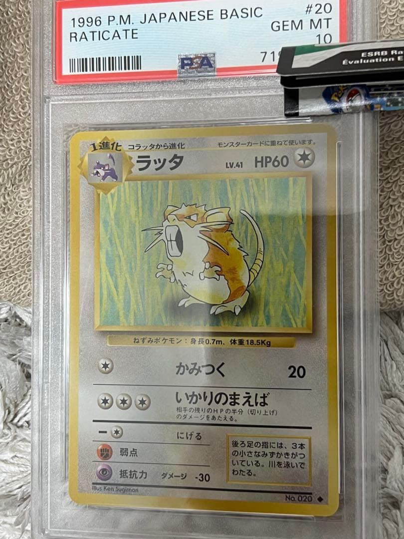 【激レア】ラッタ 第1弾拡張パック 旧裏 ワンオーナー品 psa10