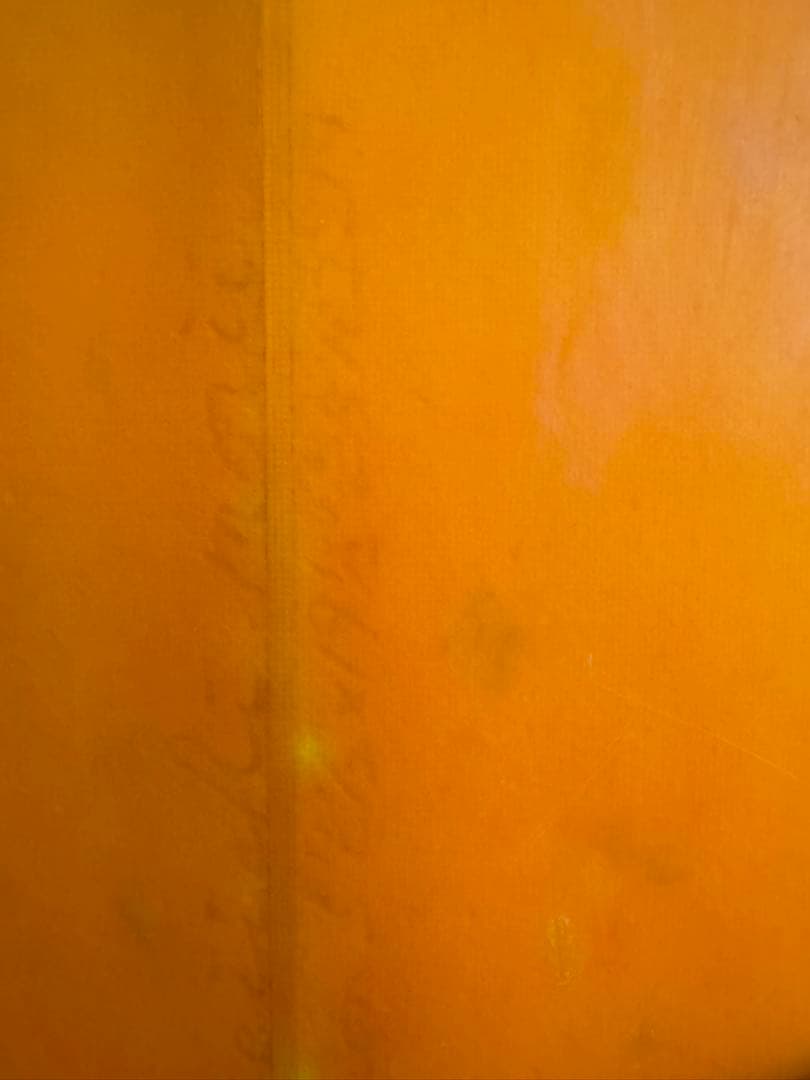 サーフィン・ボディボード ZBURH SURFBOARDS EVOLUTION MINI EPS