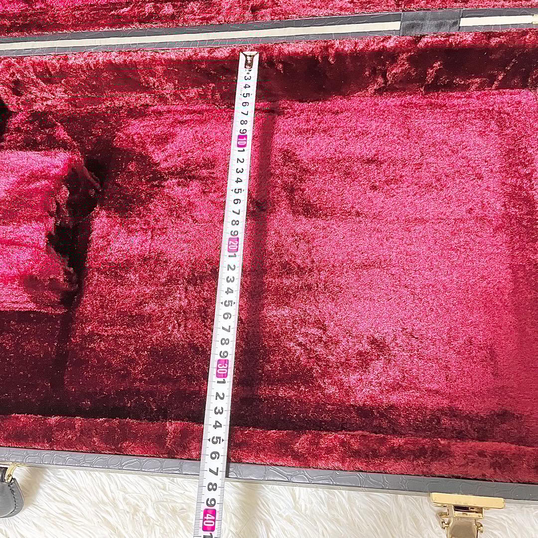 【美品】History 鰐革風 ベース用ハードケース