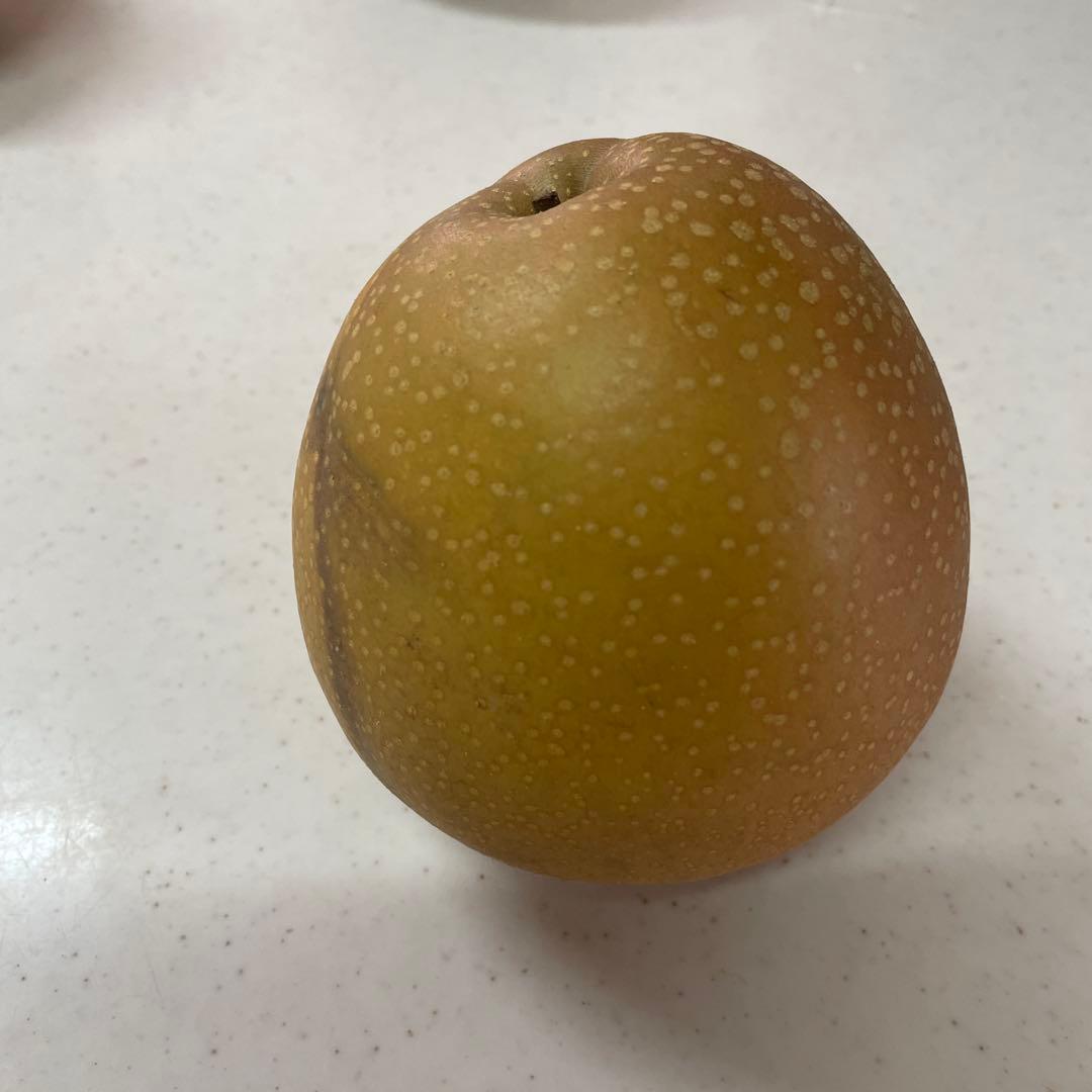 すみちゃん　鳥取県産 王秋梨10キロ