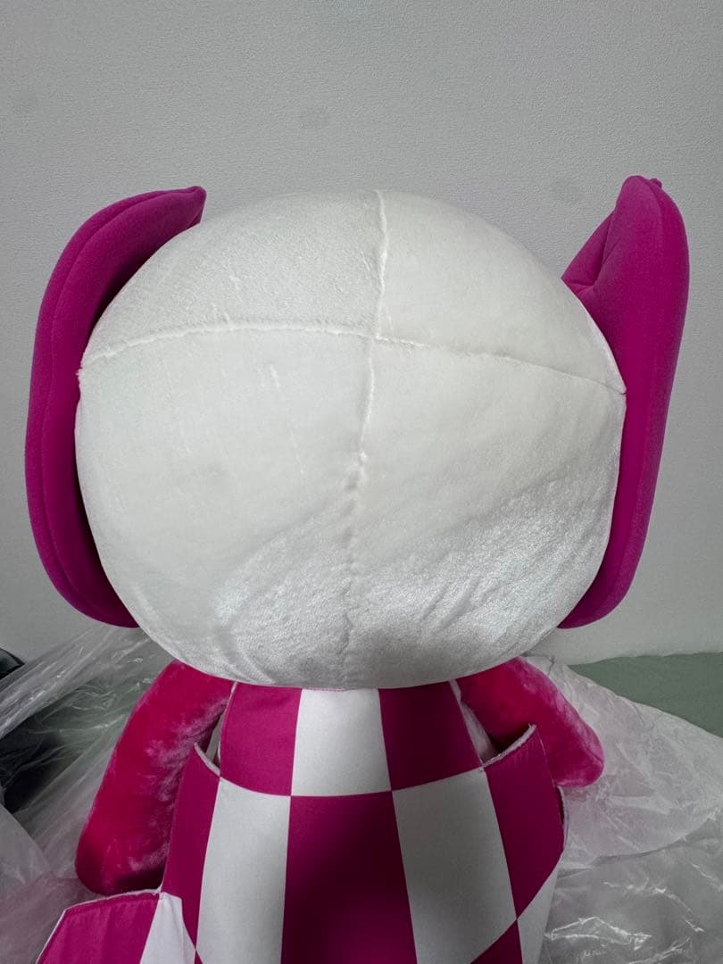 東京オリンピック　パラリンピック　ソメイティ　3L