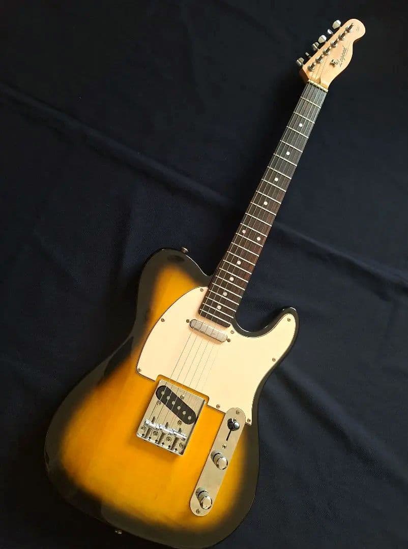 LEGEND テレキャスター タイプ 2TS フェンダーヘッド ソフトケース