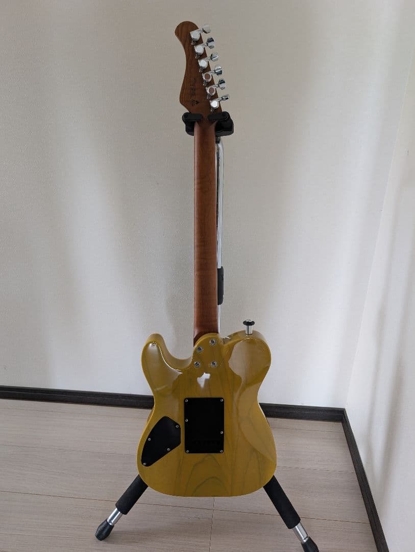 ギター Bacchus Tactics24 ash