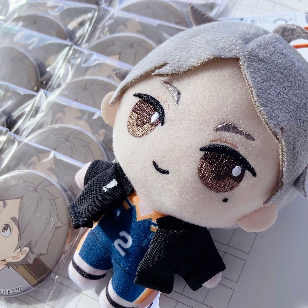 ハイキュー 菅原孝支 ぬいぐるみ 缶バッジ セット