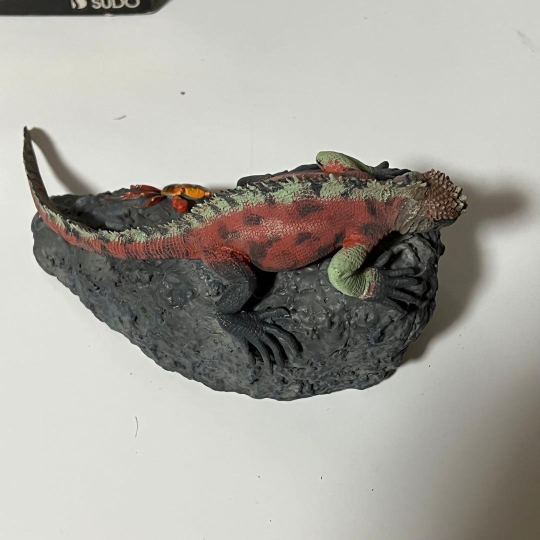 海洋堂　ウミイグアナ　ネイチャーテイルズ　検　ネイチャーテクニカラー