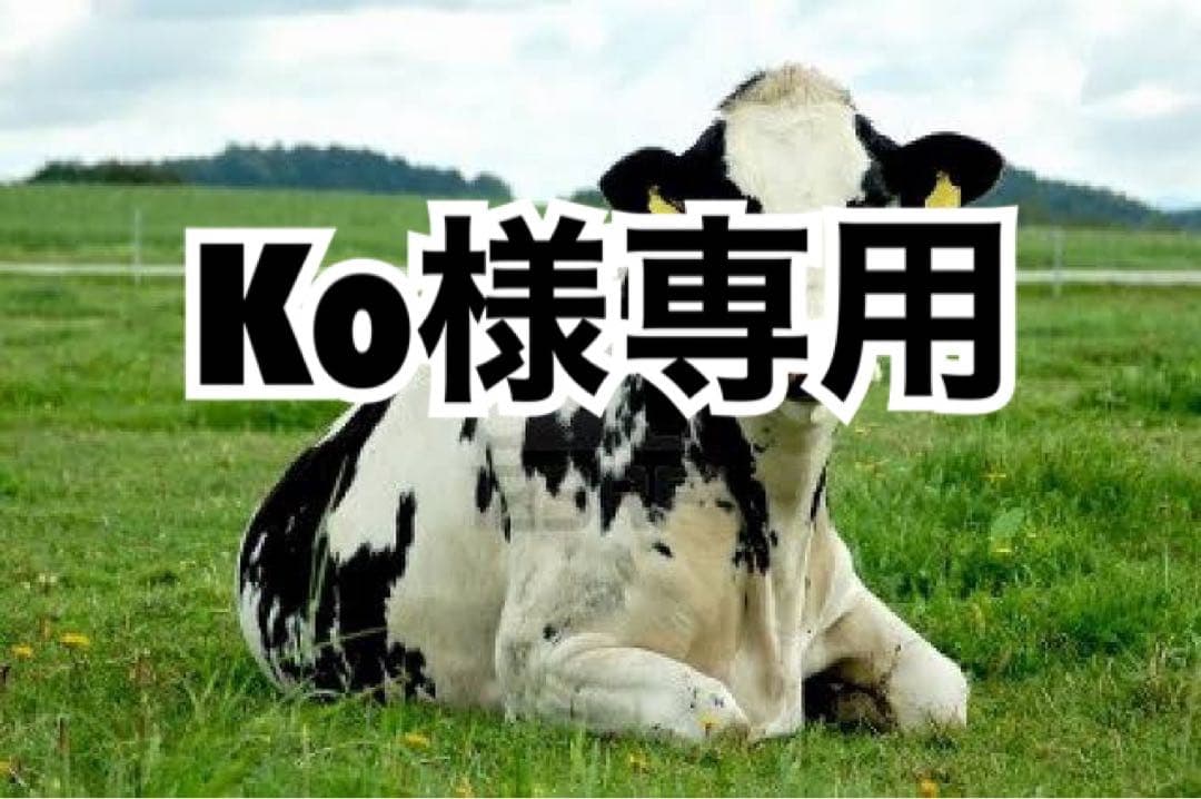 黒芯白50、タン濃50