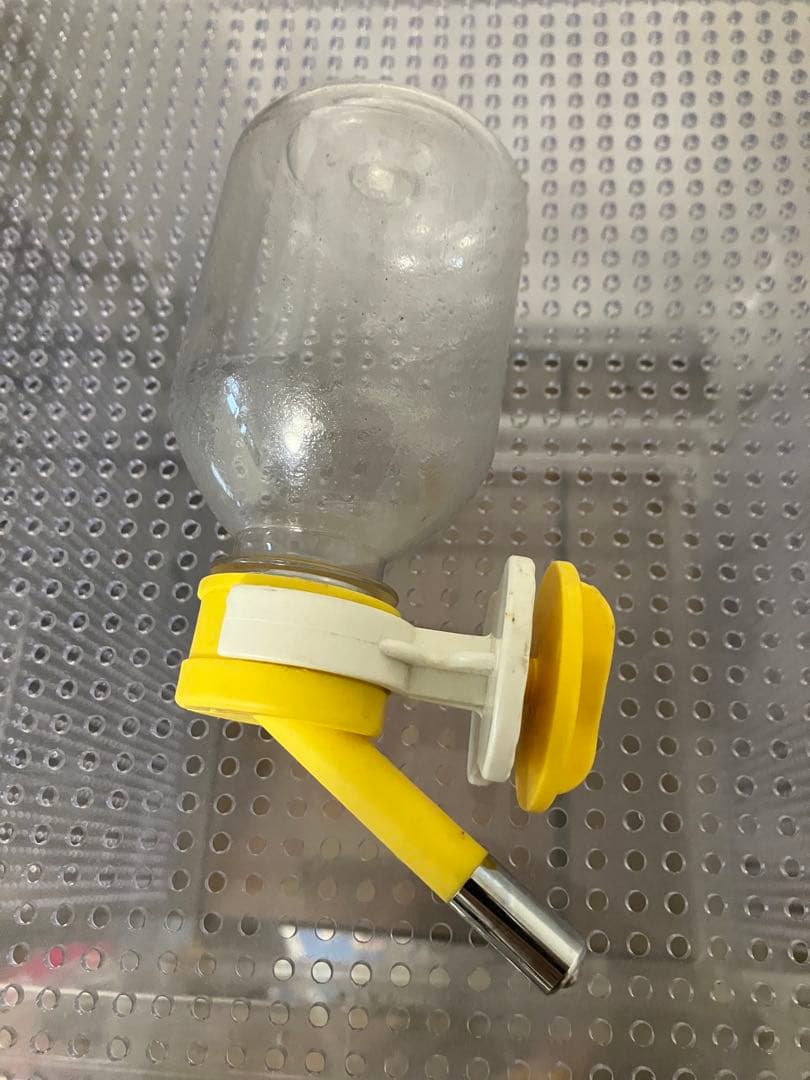 アクリル　ケージ　フクロモモンガ　フクモモ　ねくすとショップ