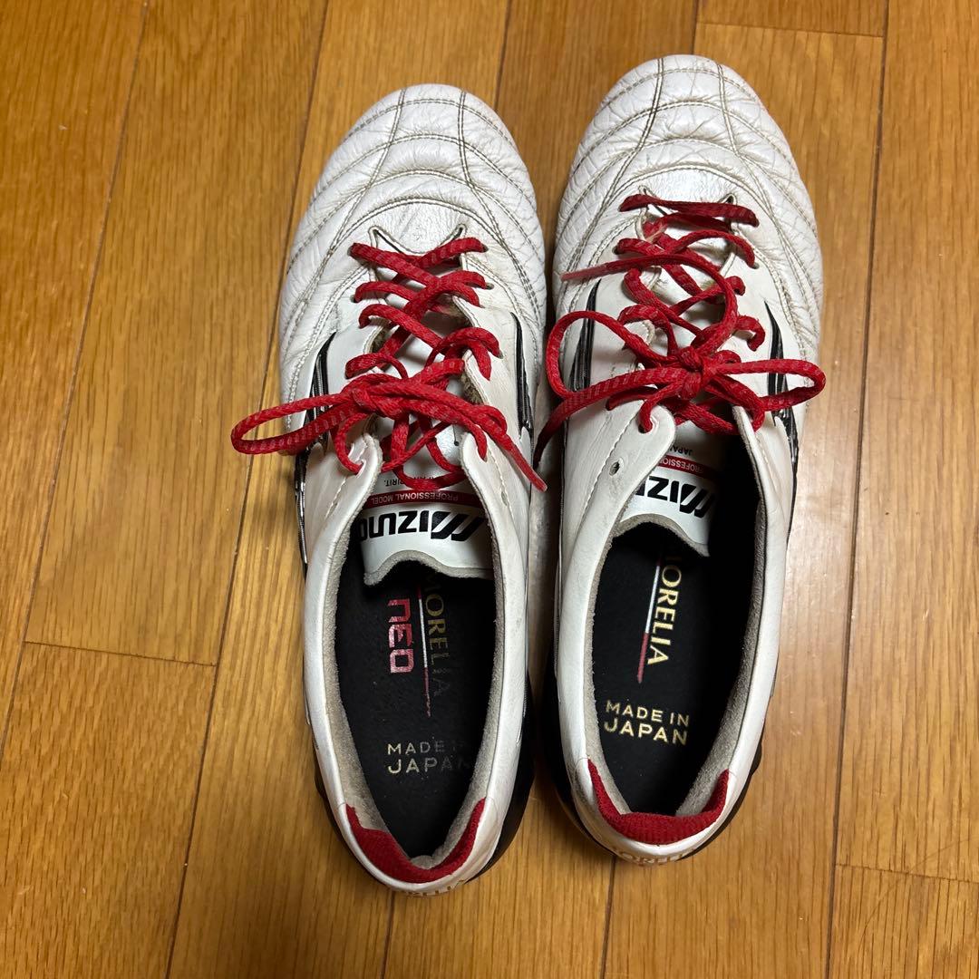 モレリア　ネオ4