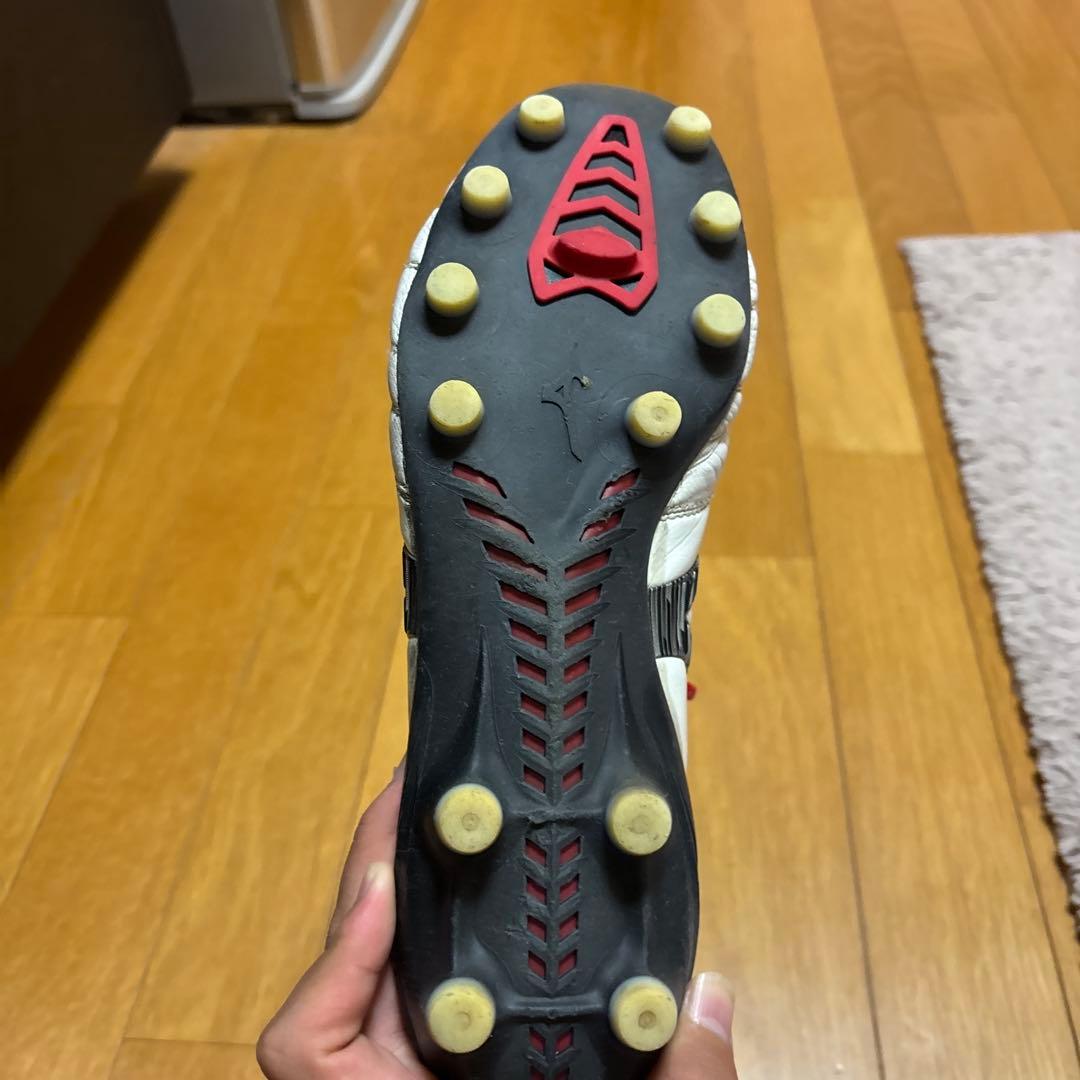 モレリア　ネオ4