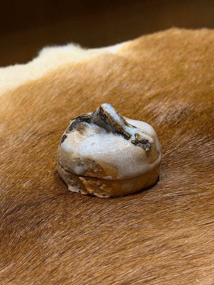 七類堂墨呑(雪舟天谿)　鴉笑斎　菊　香合　画付共箱　道釈画　香道具