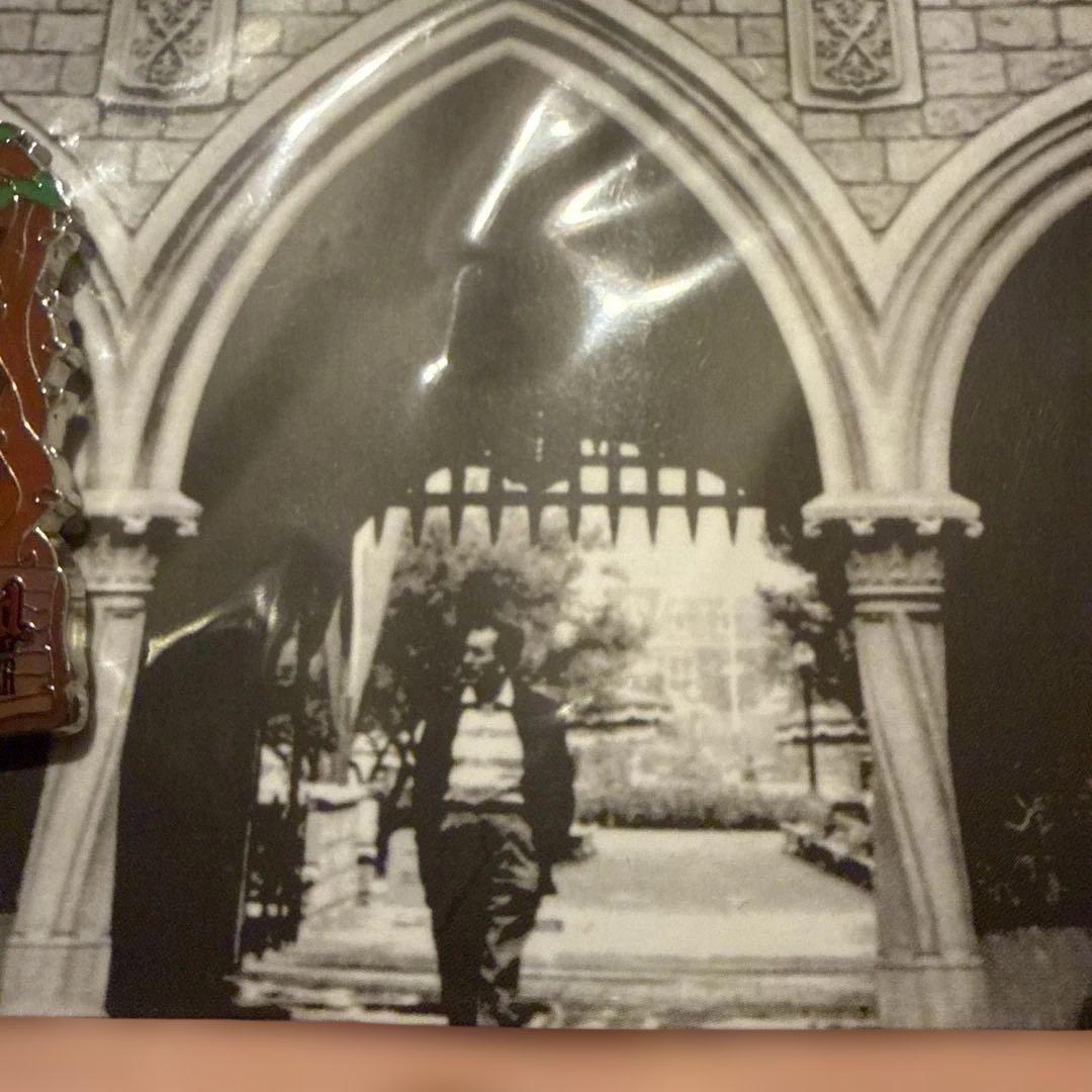 ディズニー Disney ウォルト スプラッシュマウンテン ピンバッジ