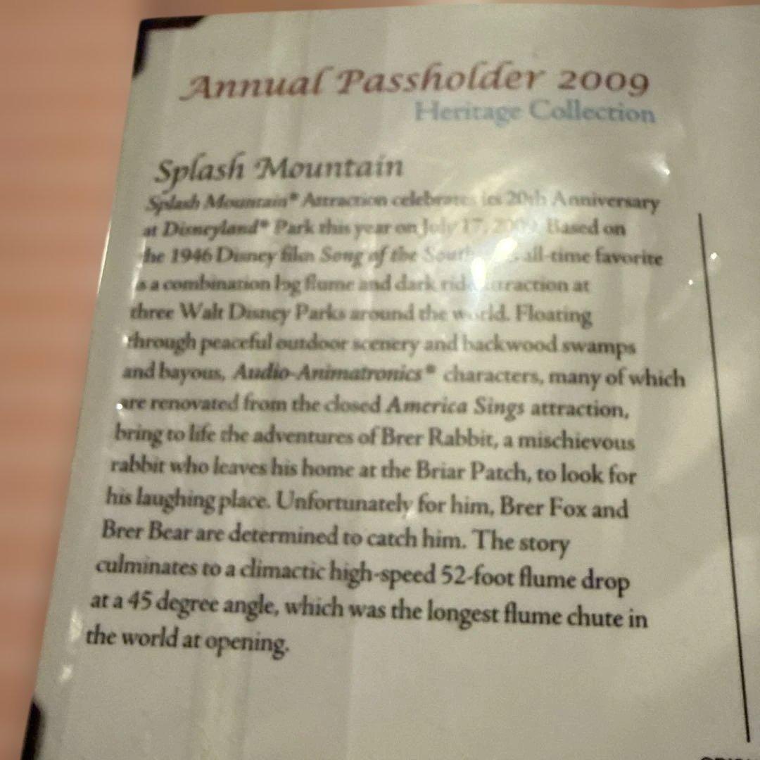 ディズニー Disney ウォルト スプラッシュマウンテン ピンバッジ