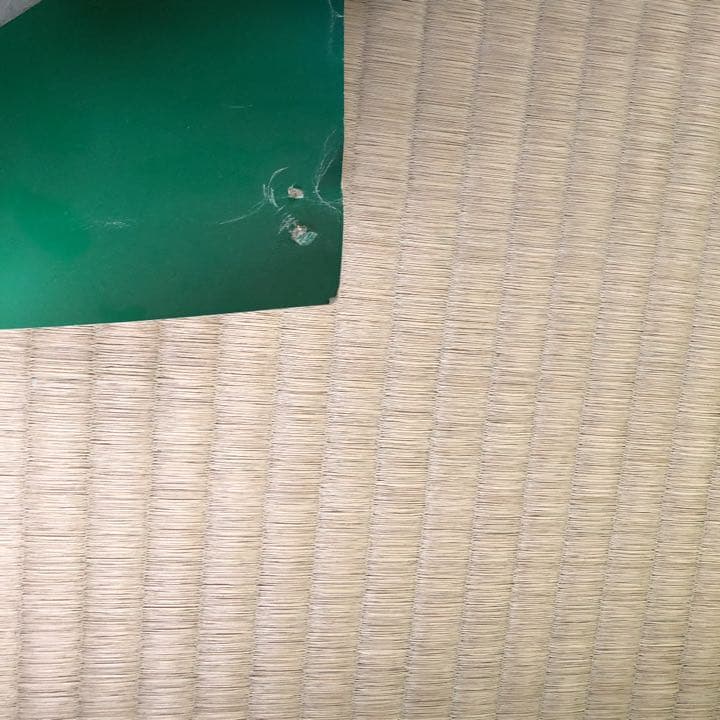 クリームソーダ　ピンクドラゴン　激レア‼︎ マジックポスター