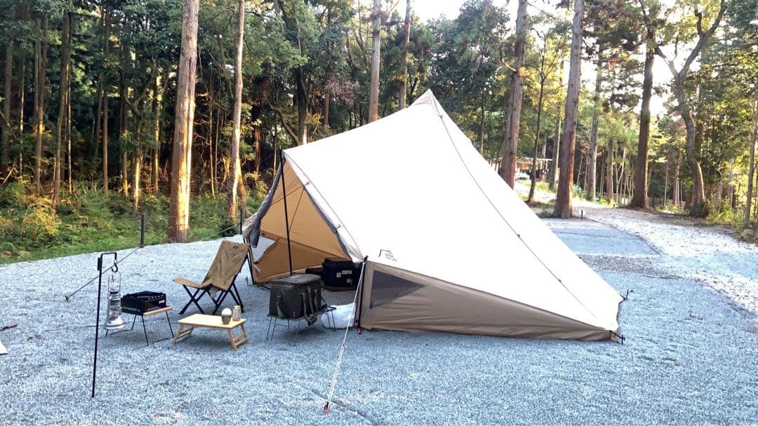 サバティカル　モーニンググローリー