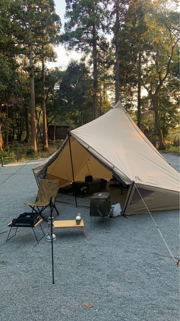 サバティカル　モーニンググローリー