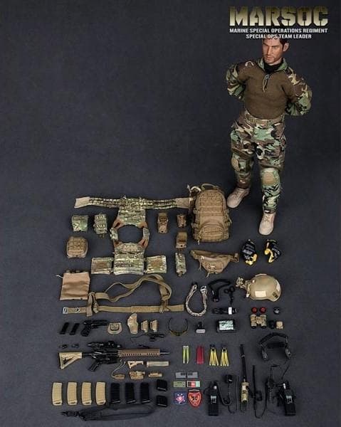DAMTOYS　MARSOC　TEAM LEDER　78006