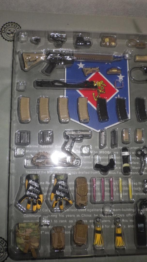 DAMTOYS　MARSOC　TEAM LEDER　78006