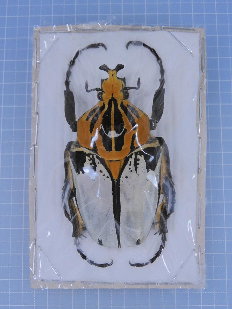 aaaamercar様 リクエスト 2点 まとめ商品