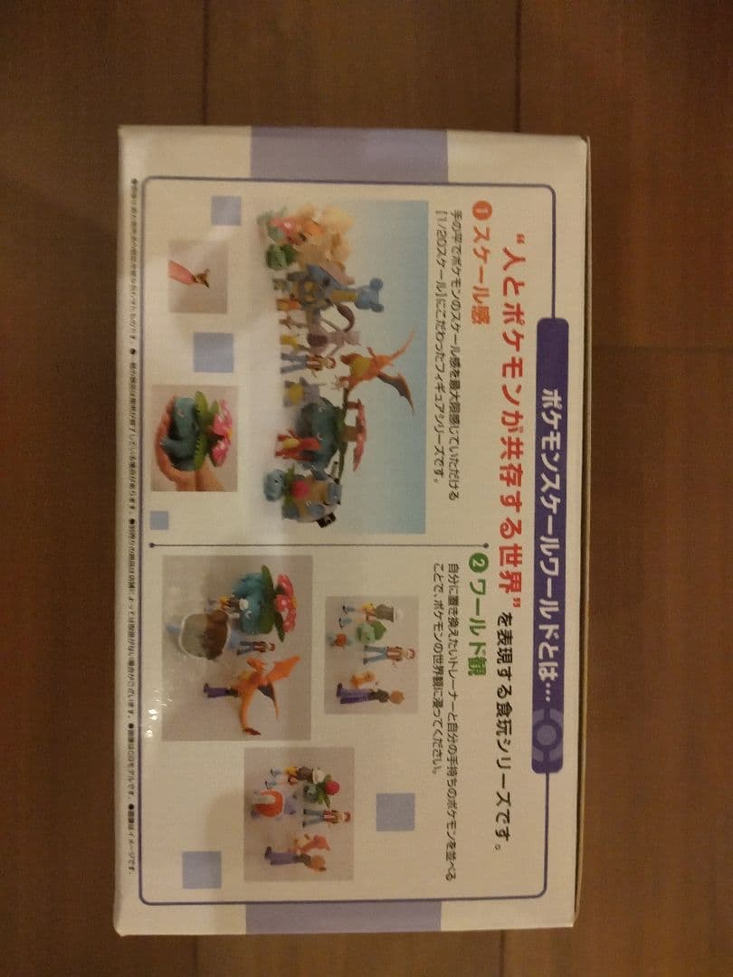 ポケモンスケールワールド ワタル＆カイリュー