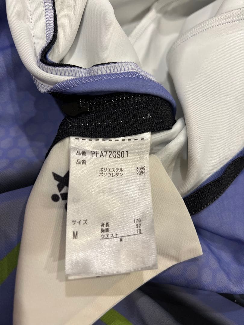 Pheenix アルペンスキー　ワンピースM FIS対応