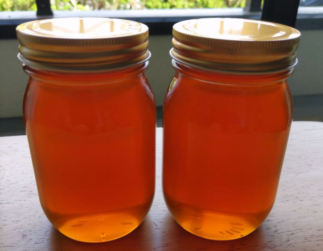 日本蜜蜂ハチミツ（600g✕2）