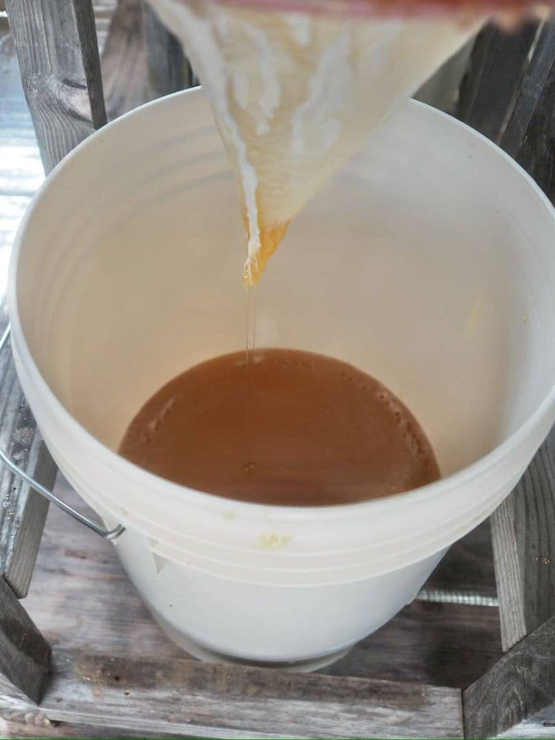 日本蜜蜂ハチミツ（600g✕2）