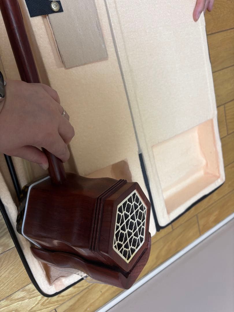 二胡 木製 六角形ボディ 専用ケース付き