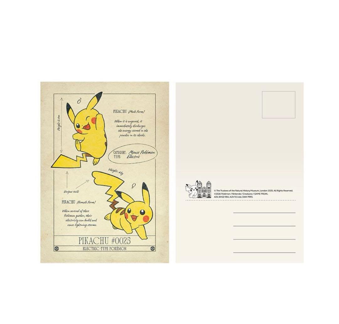 【希少新品】ポケモン30周年 ロンドン自然史博物館 コラボ ポストカード12枚