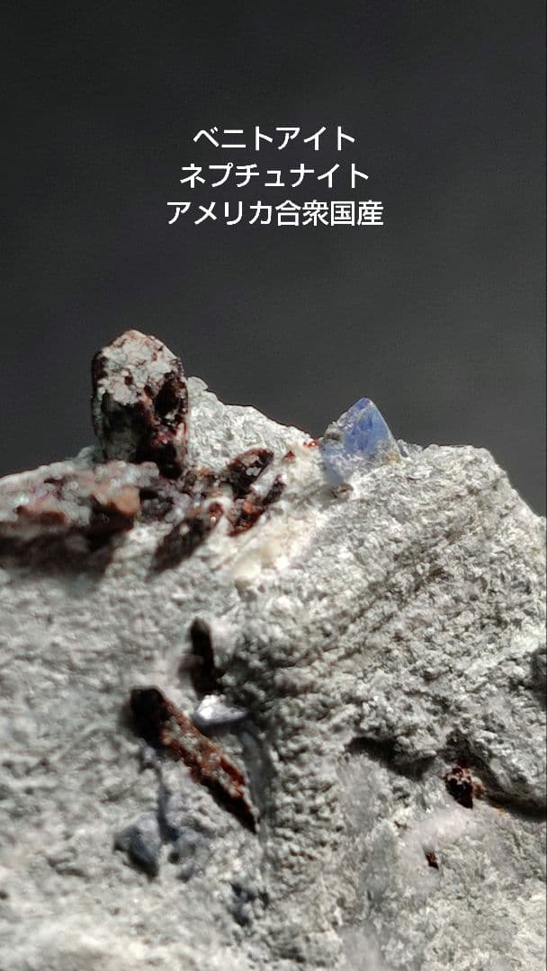 ベニトアイト、ネプチュナイト　アメリカ合衆国産　1084
