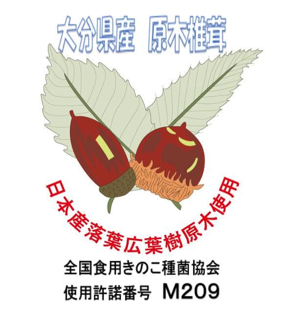 ももさまご予約専用 大分県特産 生どんこ椎茸「秋子」ダブル
