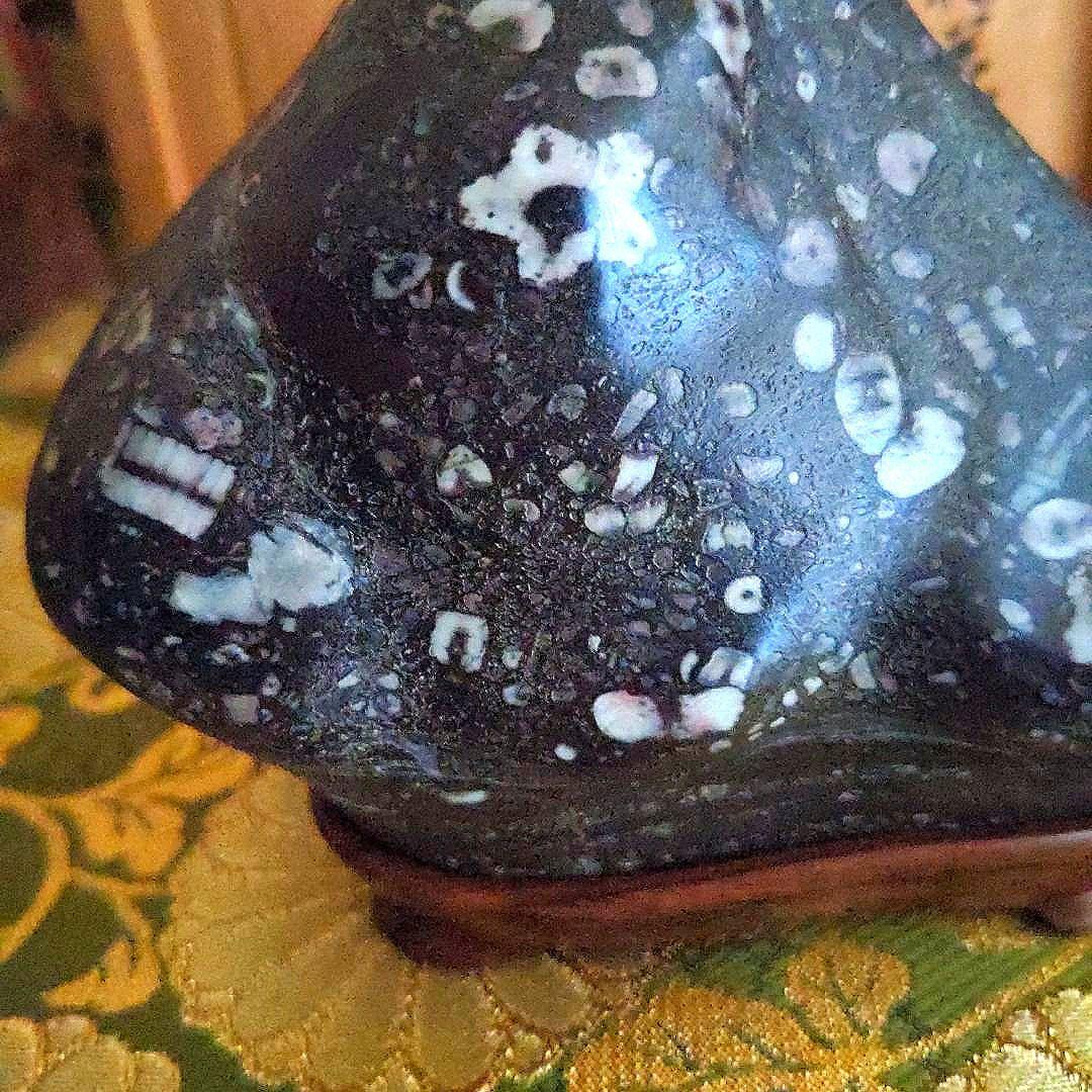 【最終価格】梅花石　銘、鶯の宿　梅の里　日本愛石館館長　小森宗閑翁