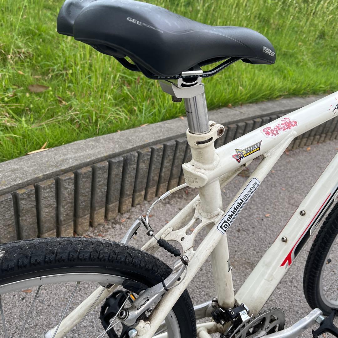 オールド　MTB GT Avalanche