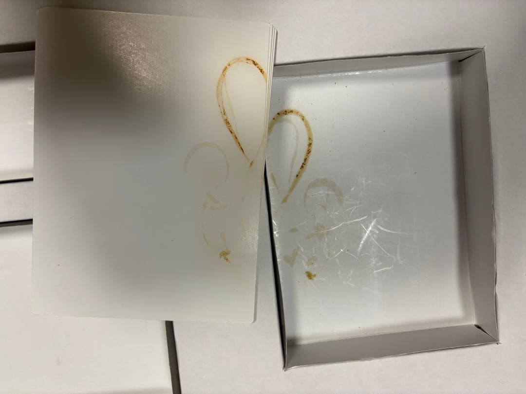 キャッシュフロー101 日本語版