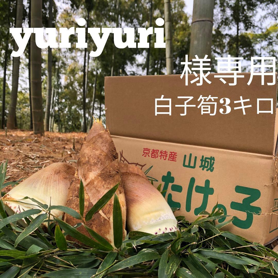 yuriyuri　白子3筍キロ　クール