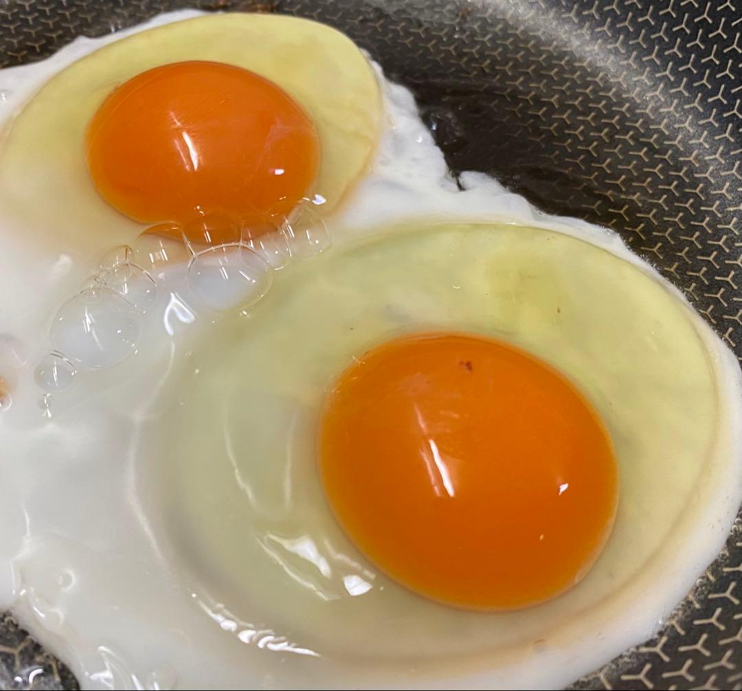 大分県産 平飼い鶏卵 160個入り