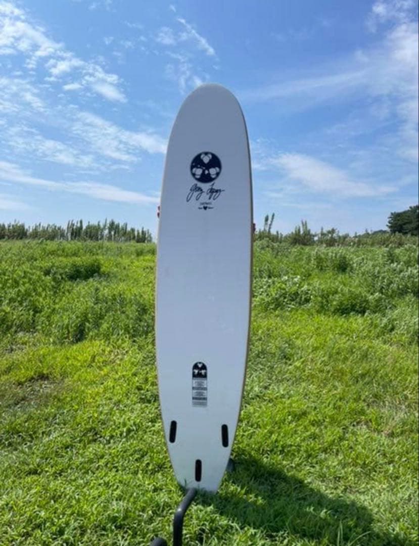 コストコボード ジェリーロペスモデル 8ft