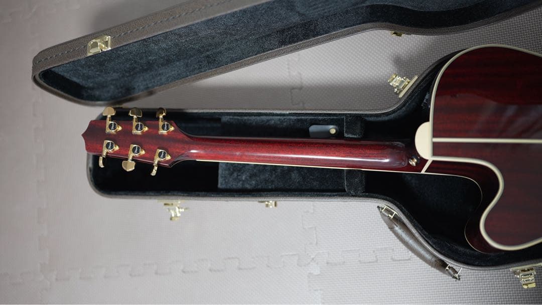 ギター Takamine DMP551C WR