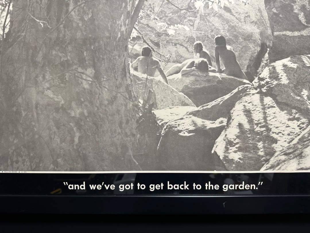 NUDE PUBLIC BIG SUR CALIF 60S ヴィンテージポスター