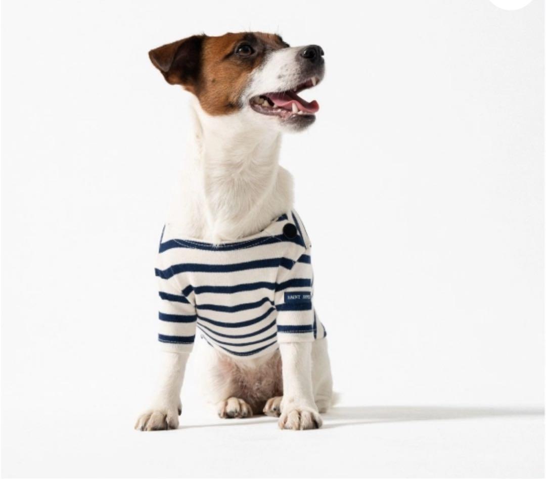 【新品未使用／日本未入荷】セントジェームス 犬服 XXL フランスパビリオン