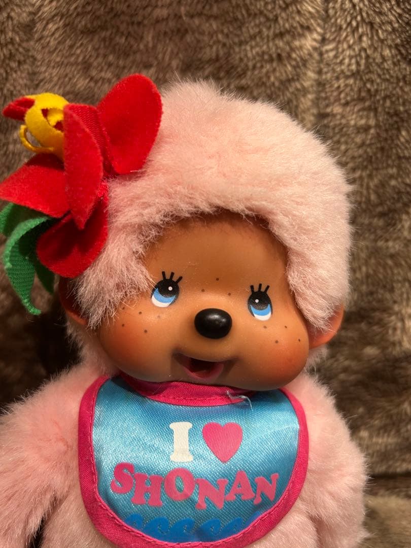 モンチッチ 湘南