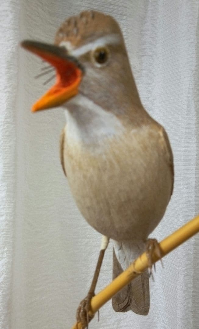 バードカービング　オオヨシキリ