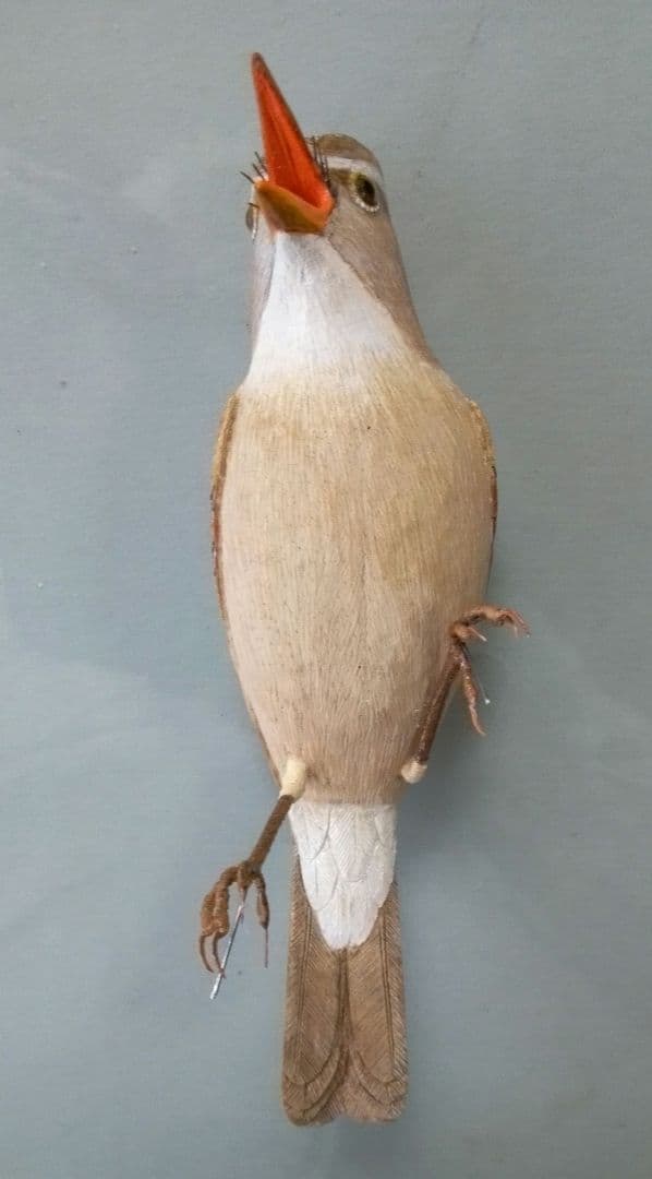 バードカービング　オオヨシキリ