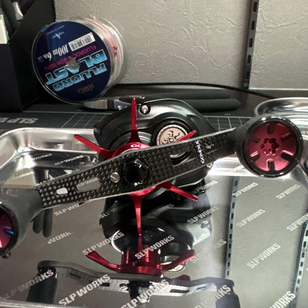 ダイワ 24タトゥーラ TW100HL