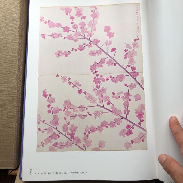 福田平八郎 作品と素描