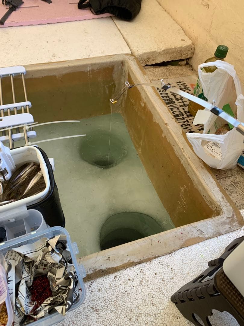 オススメ　 氷上ワカサギ釣り　ステンレス穂先　２本　　250ミリ