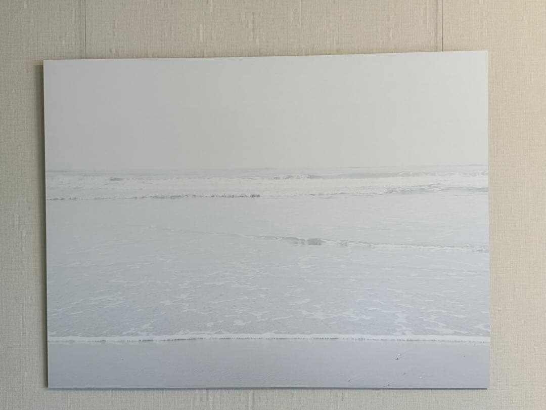 BoConcept（ボーコンセプト） メタルプリントアート“Escapism”