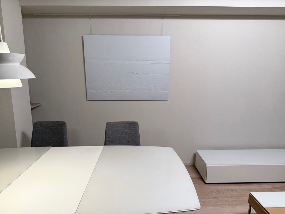 BoConcept（ボーコンセプト） メタルプリントアート“Escapism”